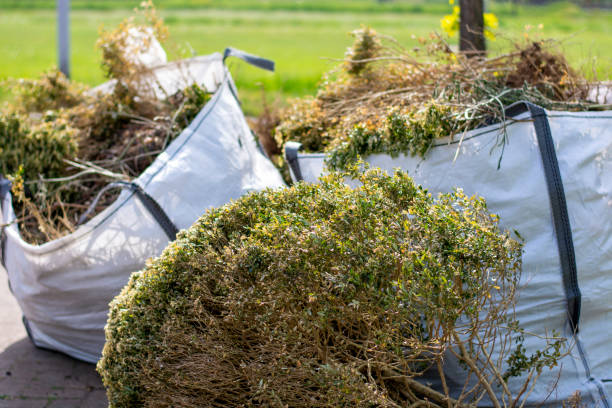 Best Hoarding Cleanup  in Lonoke, AR